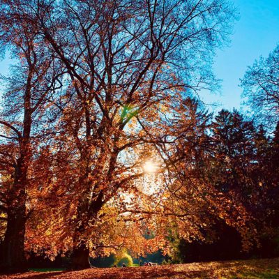Herbst
