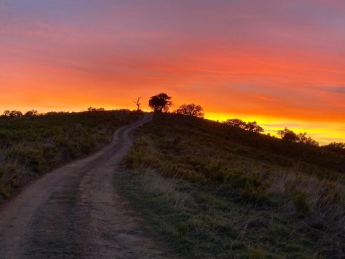 Path to yourself